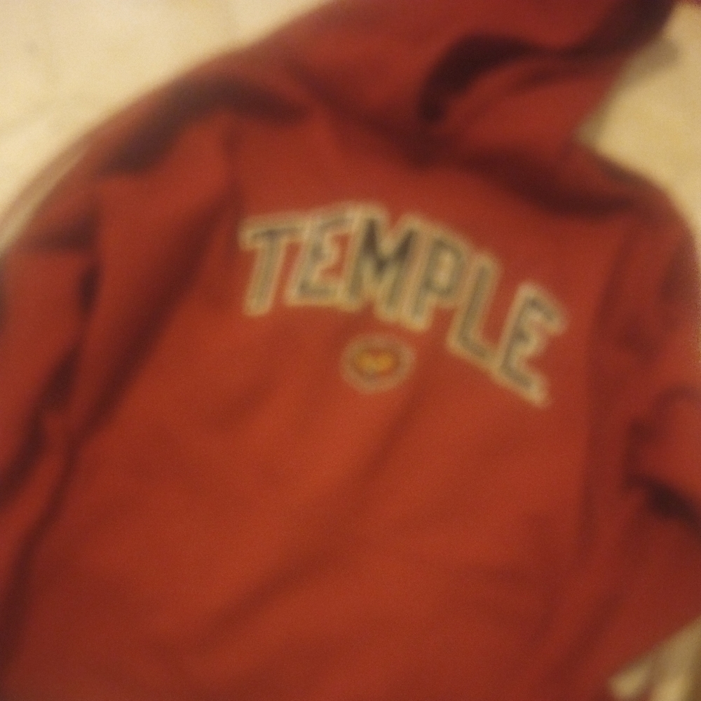 Mens Temple hoodie